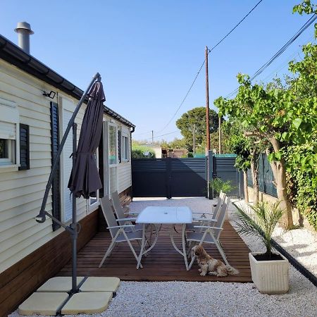 Mobil Home De Patricia Et Franck A 씨쟝 외부 사진